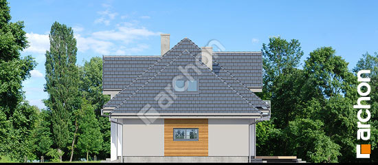 Боковой фасад Дом в сливах 4 (Г2)