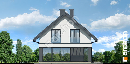 Боковой фасад Дом в шишковиках 3