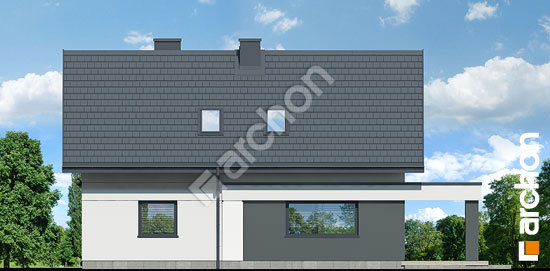 Дворовий фасад Будинок в шишковиках 3