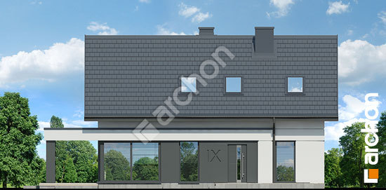 Передній фасад Будинок в шишковиках 3