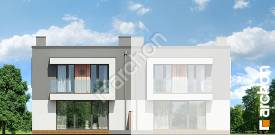 Дворовий фасад Будинок в клематисах 24 (Б)