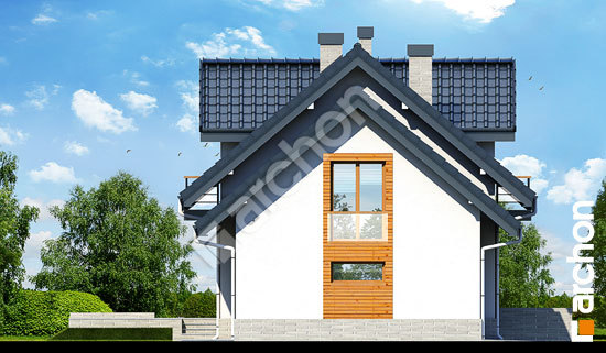 Бочний фасад   Будинок у перлівці (НТ)