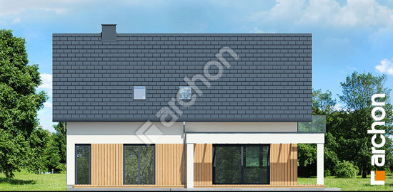 Дворовой фасад Дом в нефрисах (Г2Е) ВИЭ