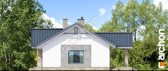 Бочний фасад Будинок в лещиновнику 4