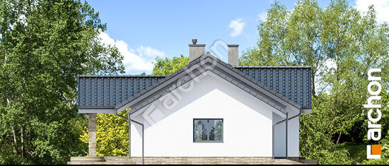 Бочний фасад Будинок в лещиновнику 4