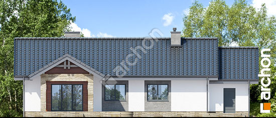 Дворовий фасад Будинок в лещиновнику 4