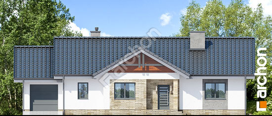 Передний фасад Дом в лещиновнике 4