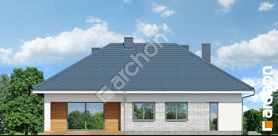 Дворовой фасад Дом в бирюзе (Г2)