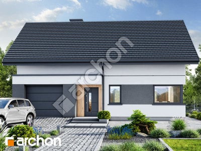 Проект дома ARCHON+ Дом в аурорах 22 (ГЕ) 