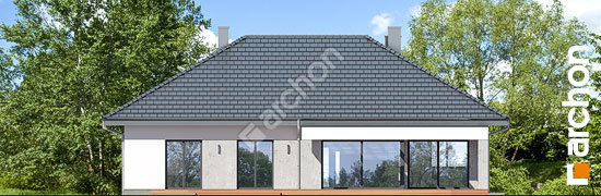 Дворовий фасад Будинок в підсніжниках 3 (Г2)