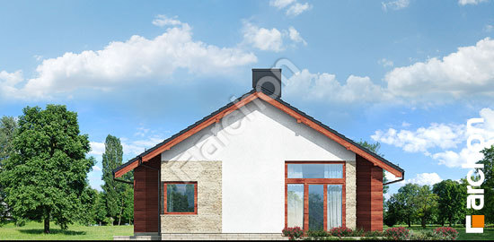 Бочний фасад Будинок в дикому винограді