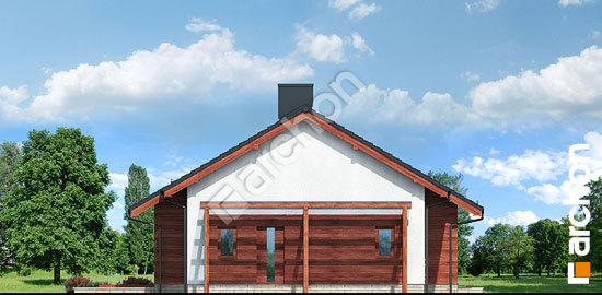 Бочний фасад Будинок в дикому винограді