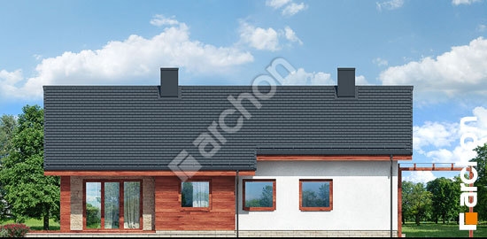 Дворовий фасад Будинок в дикому винограді