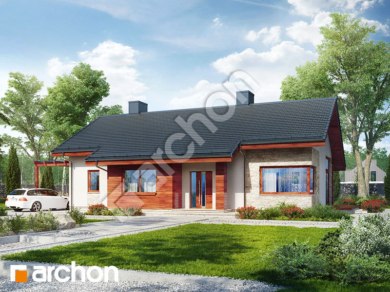 Проект будинку ARCHON+ Будинок в дикому винограді Вид 1