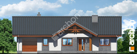 Передній фасад Будинок в лещиновнику (ГТ)