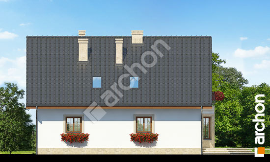 Дворовий фасад Будинок в чорнобривцях 2 вер.2