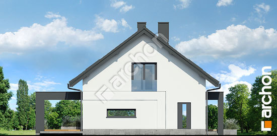 Бочний фасад Будинок в сорго