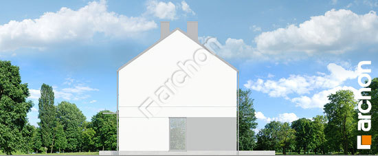 Боковой фасад Дом в химонантах 3 (ГБ)