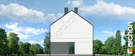 Боковой фасад Дом в химонантах 3 (ГБ)