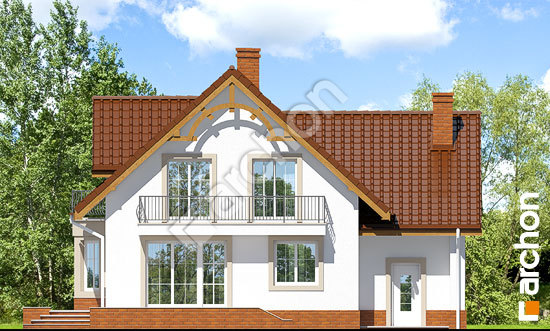 Дворовий фасад Будинок в тамариску 2 вер.2