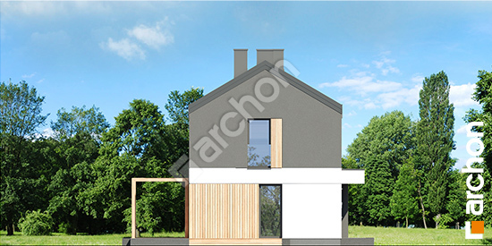 Бочний фасад Будинок в еверніях (Б) вер.2