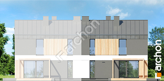 Дворовий фасад Будинок в еверніях (Б) вер.2