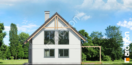 Боковой фасад Дом в хлорофитуме 17