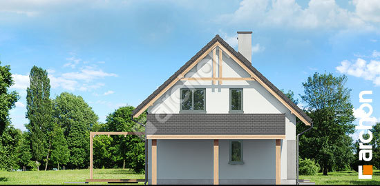 Боковой фасад Дом в хлорофитуме 17