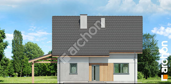 Передній фасад Будинок в хлорофітумі 17