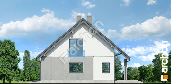 Боковой фасад Дом в журавках 11