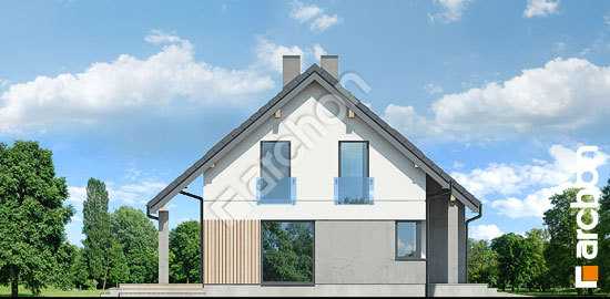 Боковой фасад Дом в журавках 11