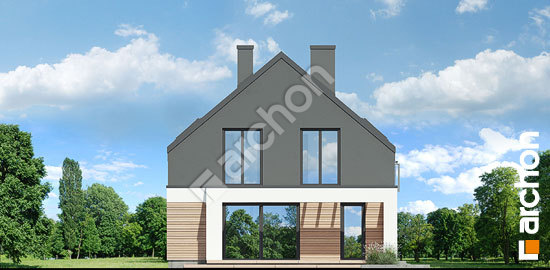 Дворовой фасад Дом в мандевилле