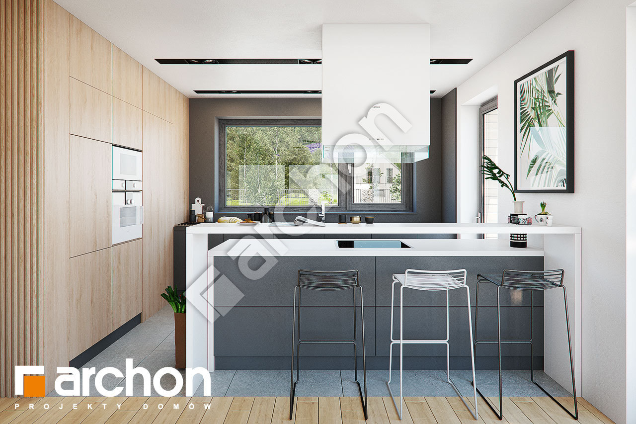 Проект будинку ARCHON+ Будинок в мандевілі візуалізація кухні 1 від 1