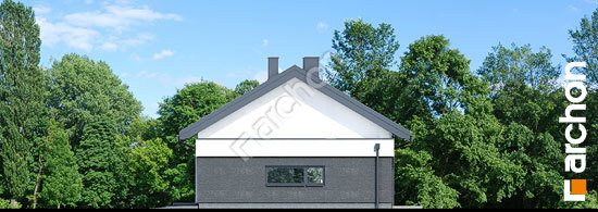 Бочний фасад Будинок в пепероміях 5 (Г2)