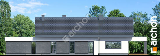 Дворовий фасад Будинок в пепероміях 5 (Г2)