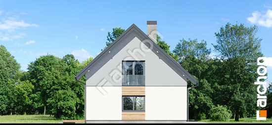 Боковой фасад Дом в хлорофитуме 9 (Г)