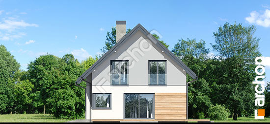 Боковой фасад Дом в хлорофитуме 9 (Г)