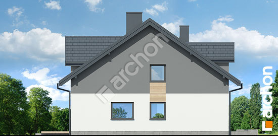 Бочний фасад Будинок в ясенці (Б)