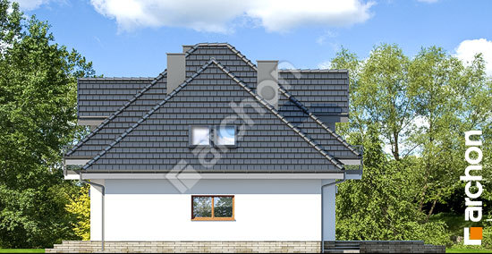 Боковой фасад Дом в нектаринах (НТ)