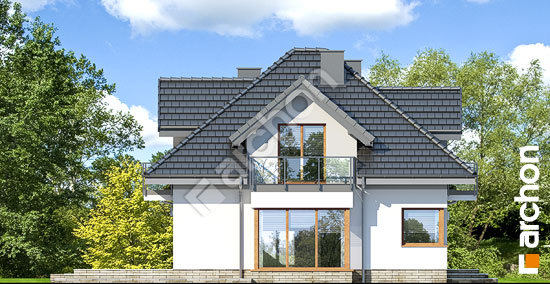 Боковой фасад Дом в нектаринах (НТ)