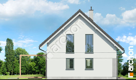 Боковой фасад Дом в хлорофитуме (Е)