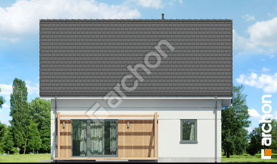 Дворовий фасад Будинок в хлорофітумі (Е)