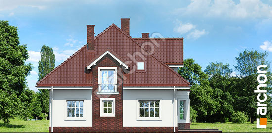 Дворовой фасад Дом в тимьяне вер.3