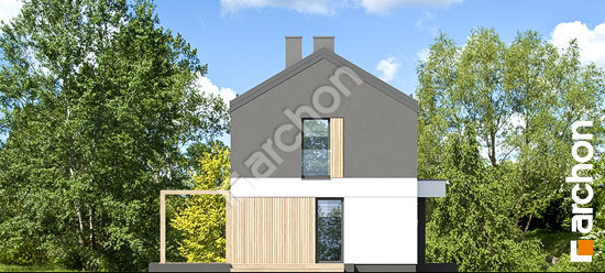 Бочний фасад Будинок в еверніях (Р2)