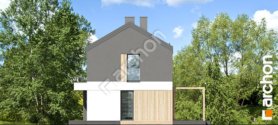 Боковой фасад Дом в эверниях (Р2)