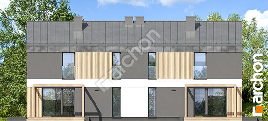 Дворовой фасад Дом в эверниях (Р2)