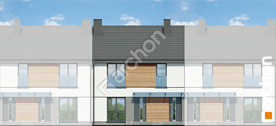 Передний фасад Дом в облепихе (Р2С) вер.3