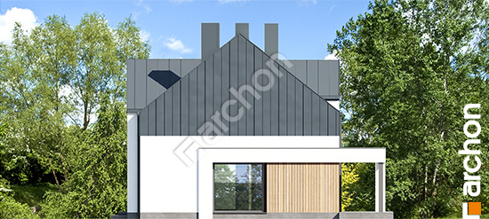 Боковой фасад Дом в гунерах 2 (Р2) вер.2