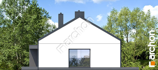 Боковой фасад Дом в рудбекиях 2