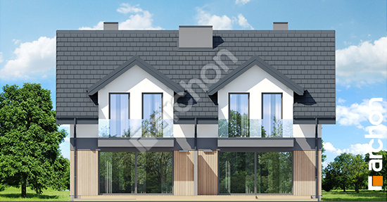 Дворовой фасад Дом в клематисах 2 (Р2) вер.2